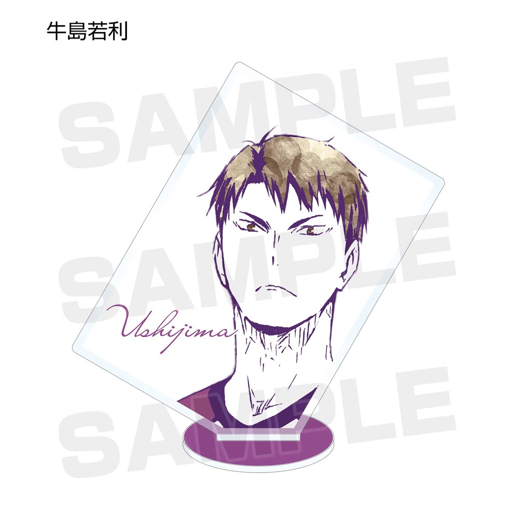 Haikyu! Trading Ani-Art Acrylic Stand Vol. B [BOX] Image_10