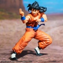 Ichiban Kuji - Dragonball EX Warrior Who Protect Earth Image_16