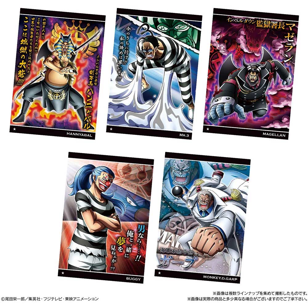 One Piece Wafer Inherited Will [BOX] Image_5