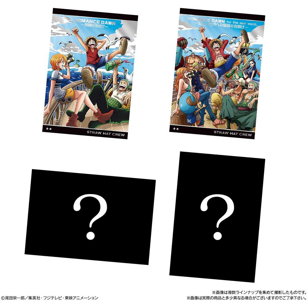 One Piece Wafer Inherited Will [BOX] Image_7