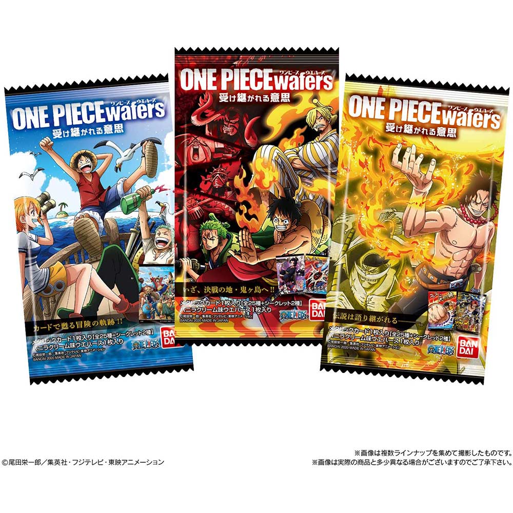 One Piece Wafer Inherited Will [BOX] Image_8