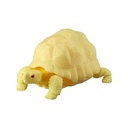 Tortise 02 Image_6