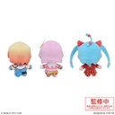 Project SEKAI Colorful Stage! feat. Hatsune Miku Fuwapuchi Plush Wonderland x Showtime Vol.1 Image_4