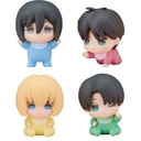 (PO) Akatans Attack on Titan [BOX] Image_2