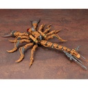 (PO) Zoids HMM RX-002 Guysack Image_13