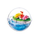 Pokemon Terrarium EX Paldea [BOX] Image_6