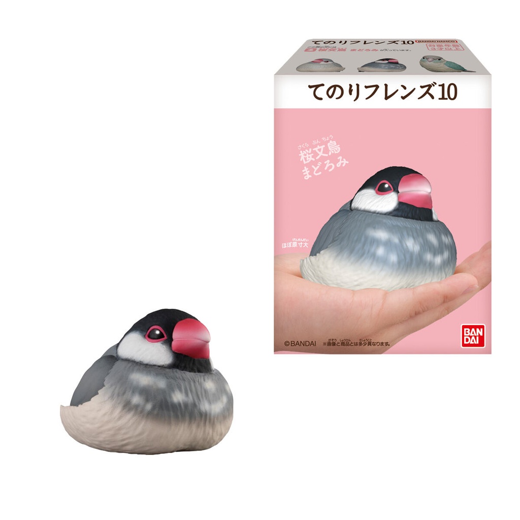 Friends on Hand 10 BIrd [BOX] Image_2