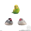 Friends on Hand 10 BIrd [BOX] Image_3