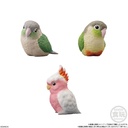 Friends on Hand 10 BIrd [BOX] Image_4