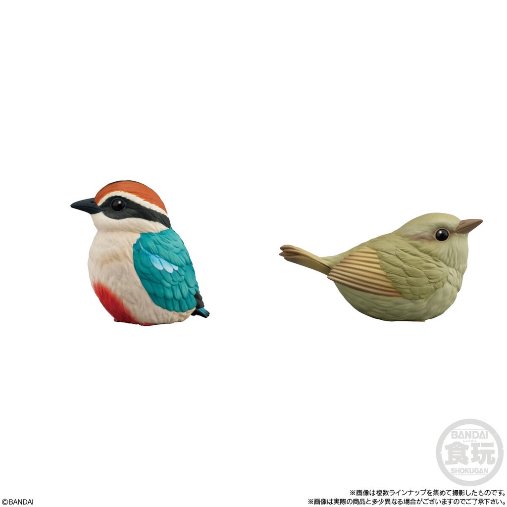 Friends on Hand 10 BIrd [BOX] Image_5