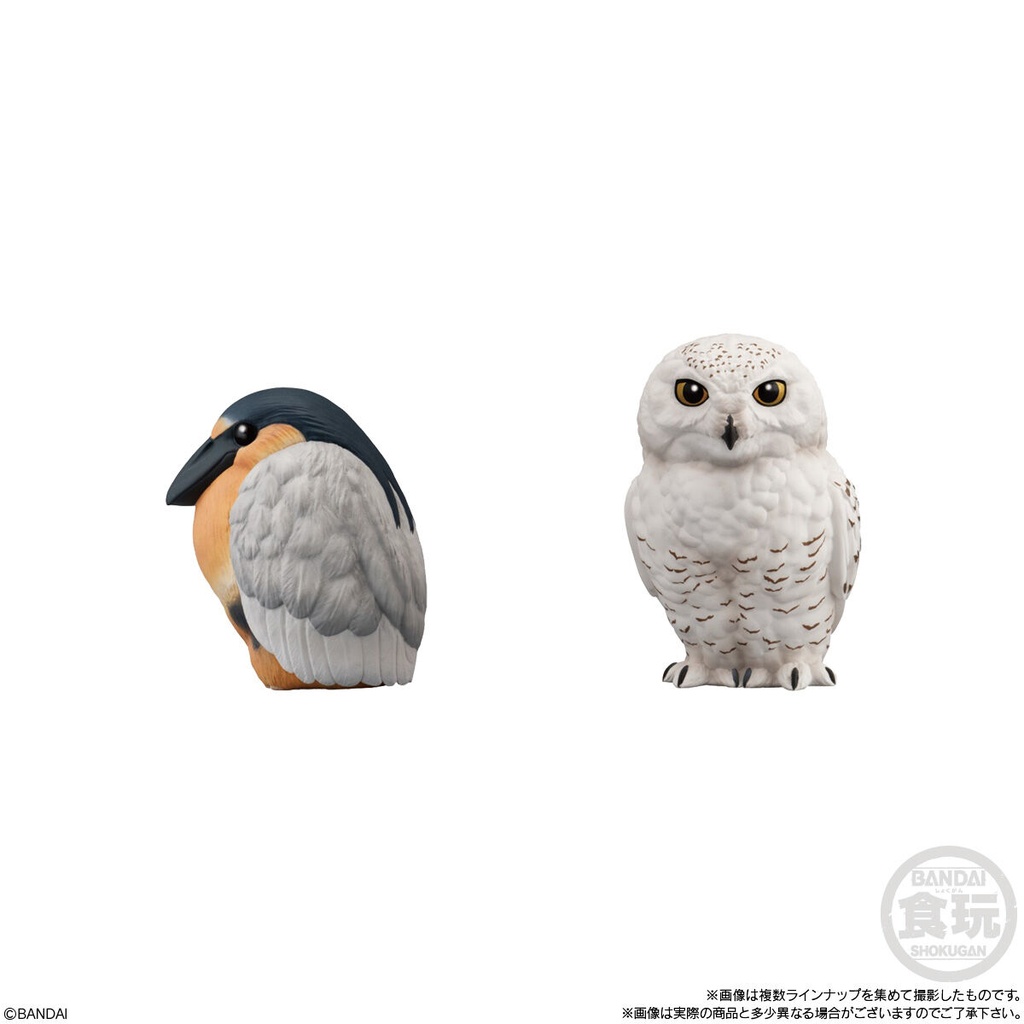 Friends on Hand 10 BIrd [BOX] Image_7