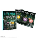 Final Fantasy Rebirth Anniversary Kuji Image_4