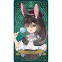The Master of Diabolism New Illustration Atribute Card Collection Wizard and Rabbit Familiar Spirits ver. [BOX] Image_14