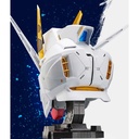 Gundam BN Head Collection Vol.2 ZGMF-X20A Strike Freedom Gundam Image_4