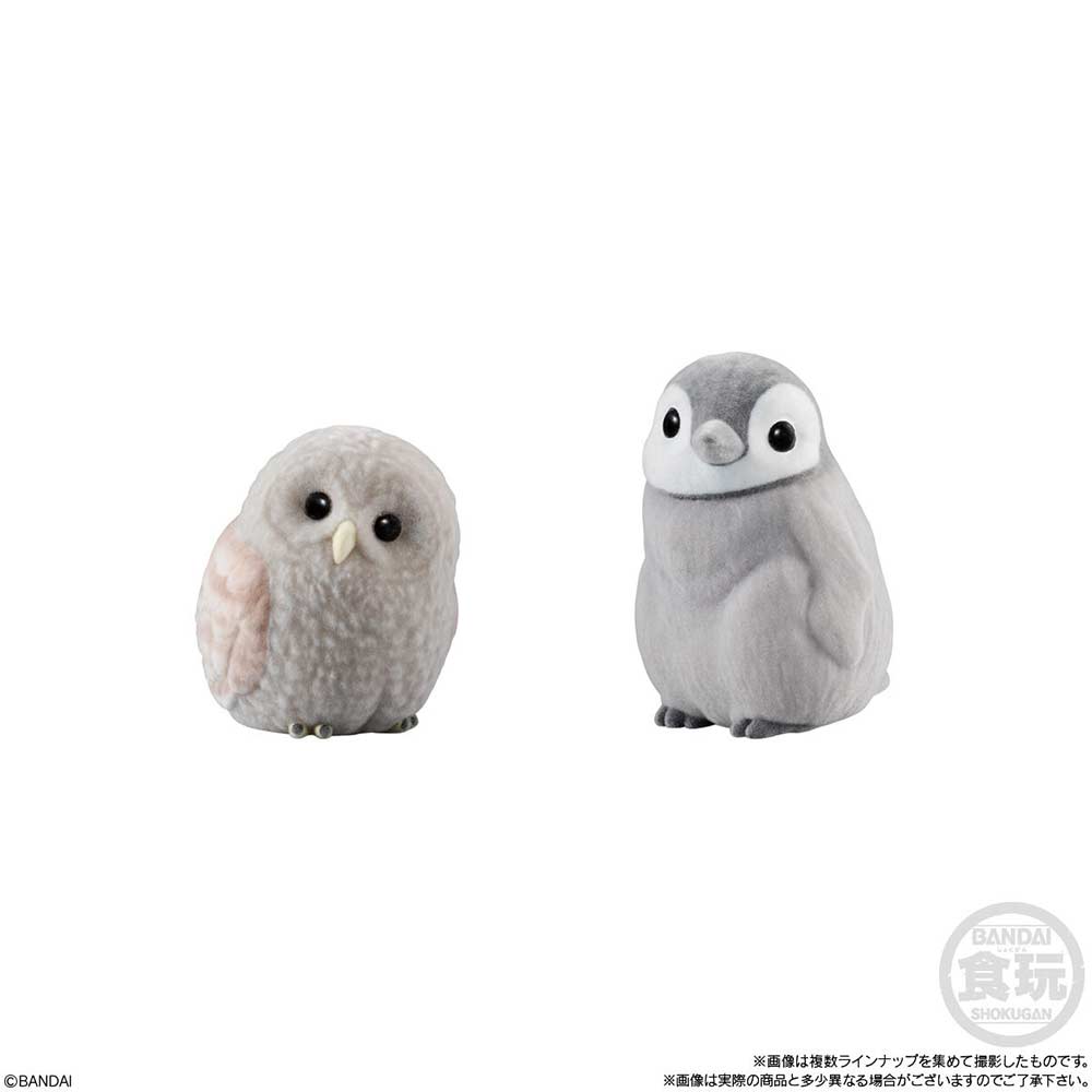 Mofumofu Friends on Hand Birds [BOX] Image_3