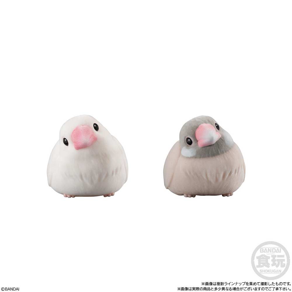 Mofumofu Friends on Hand Birds [BOX] Image_5
