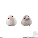 Mofumofu Friends on Hand Birds [BOX] Image_5