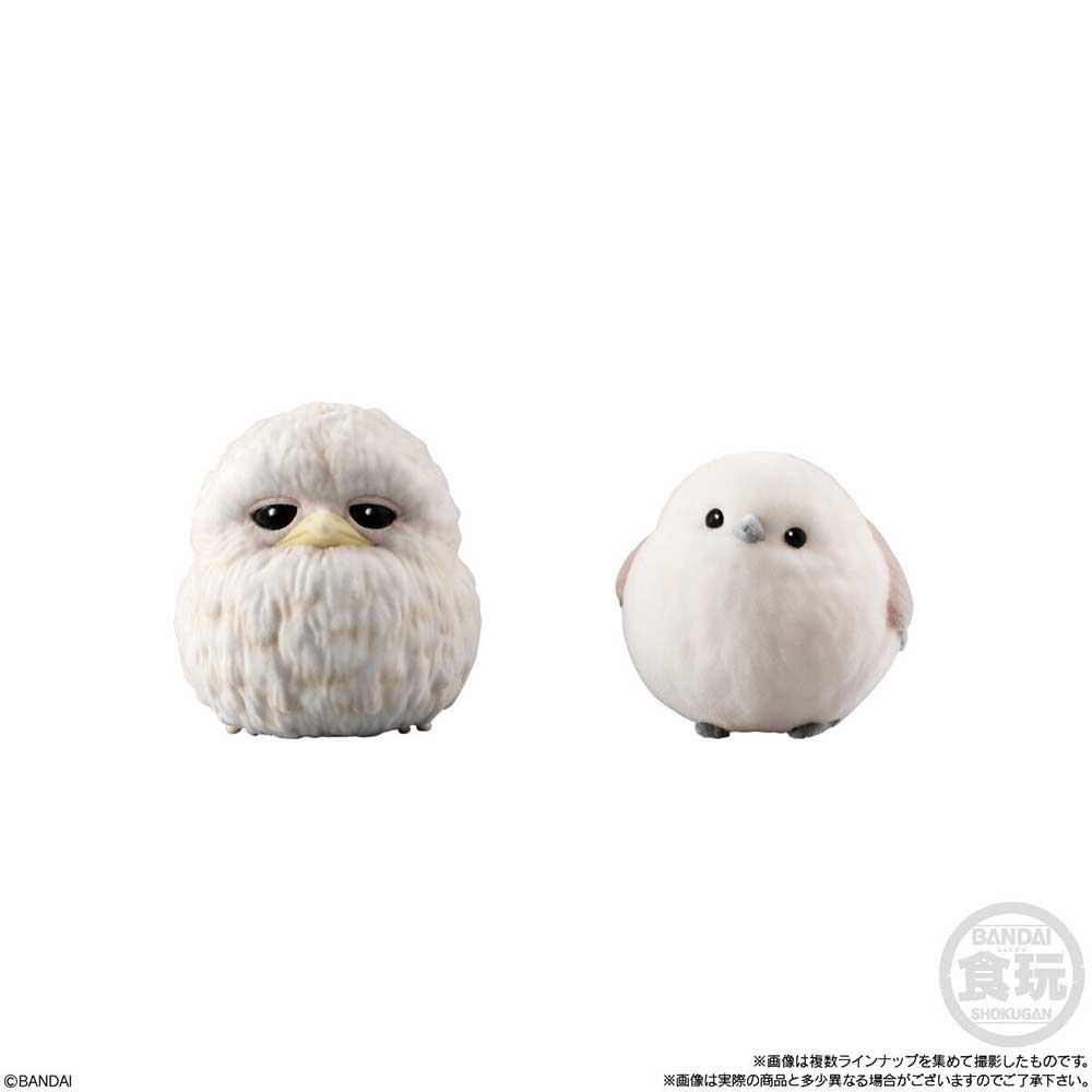 Mofumofu Friends on Hand Birds [BOX] Image_6