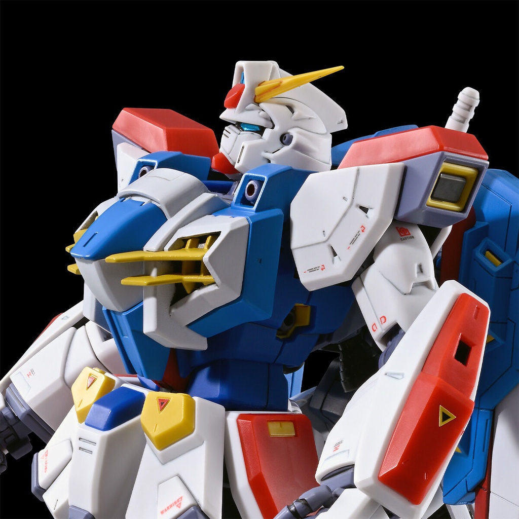 MG 1/100 Gundam F90 N-Type (P Bandai) Image_1