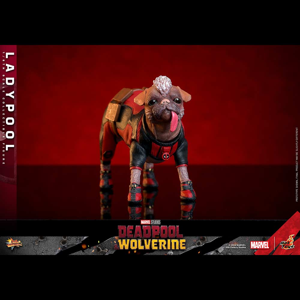 (PO) Movie Masterpiece Series MMS747 - Deadpool & Wolverine - Ladypool Image_8