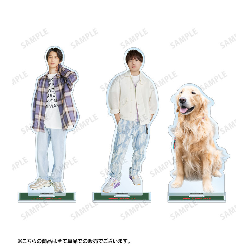 (PO) Chiharu Sawashiro, Shugo Nakamura, Takuya Yamanaka no Maison de Chaos Chiharu Sawashiro Big Acrylic Stand Vol. 2 Image_4