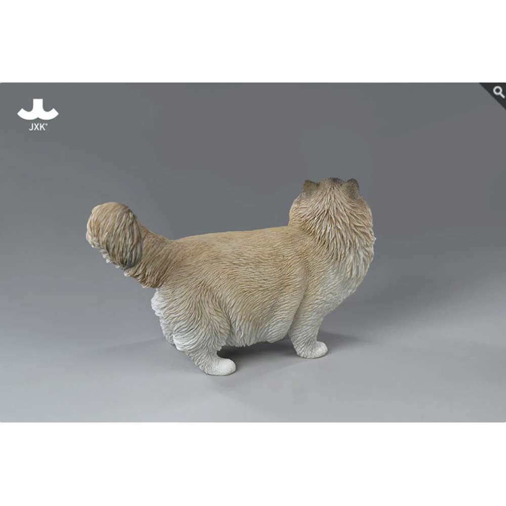JxK 1/6 Ragdoll 2.0 JXK197-A Image_2