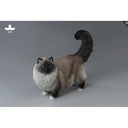 JxK 1/6 Ragdoll 2.0 JXK197-B Image_1