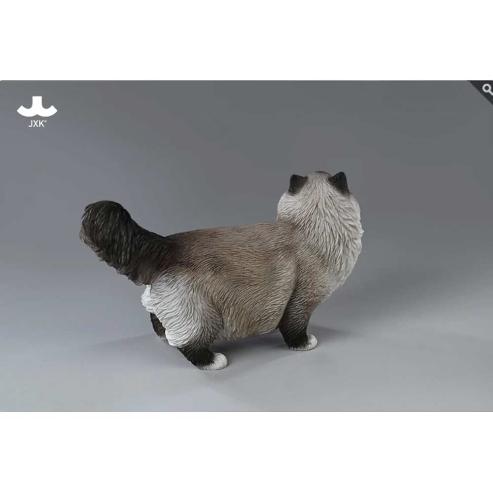 JxK 1/6 Ragdoll 2.0 JXK197-B Image_2