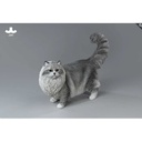 JxK 1/6 Ragdoll 2.0 JXK197-C Image_1