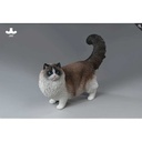 JxK 1/6 Ragdoll 2.0 JXK197-D Image_1