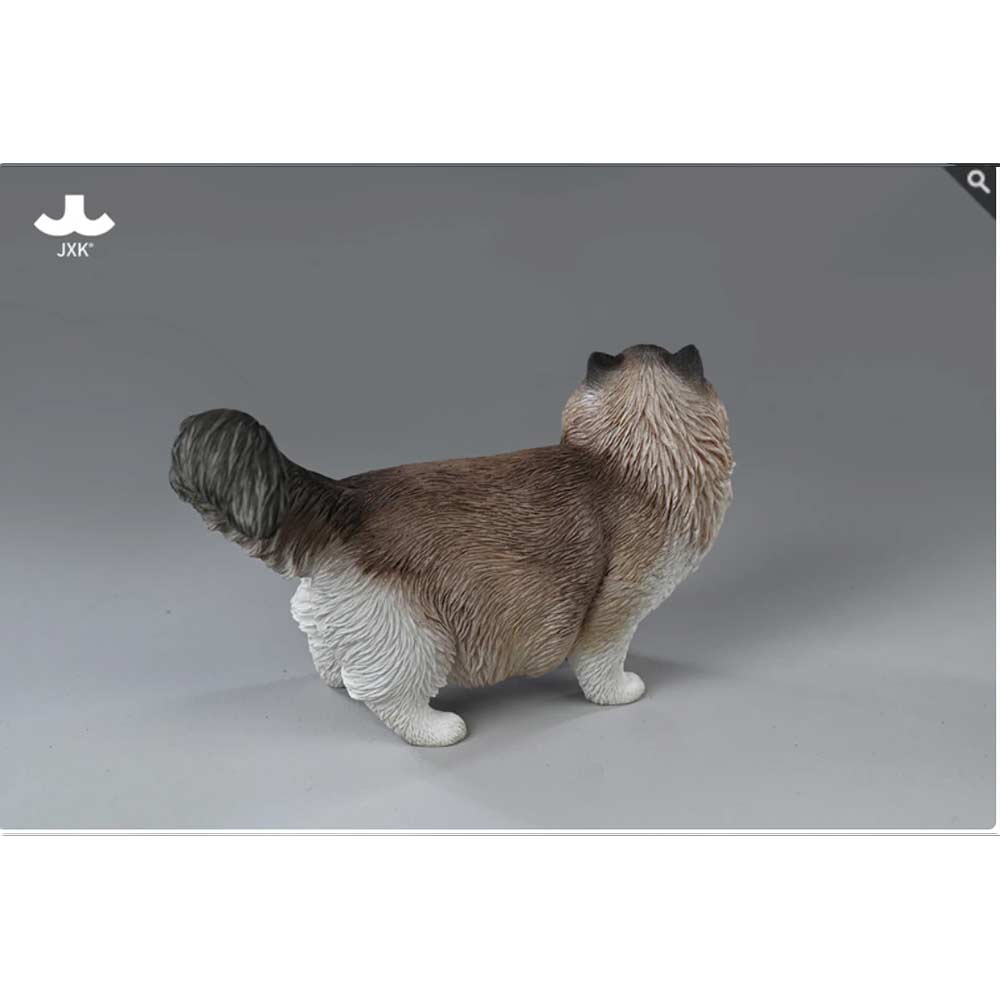 JxK 1/6 Ragdoll 2.0 JXK197-D Image_2