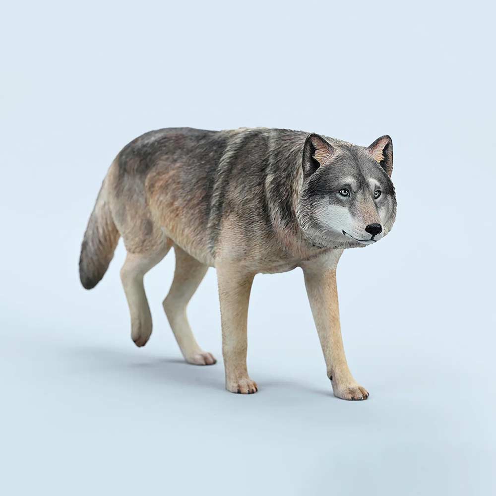 JxK 1/6 Common Gray Wolf JXK223-A1 Image_3