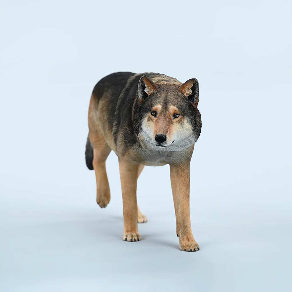JxK 1/6 Common Gray Wolf JXK223-A2 Image_2
