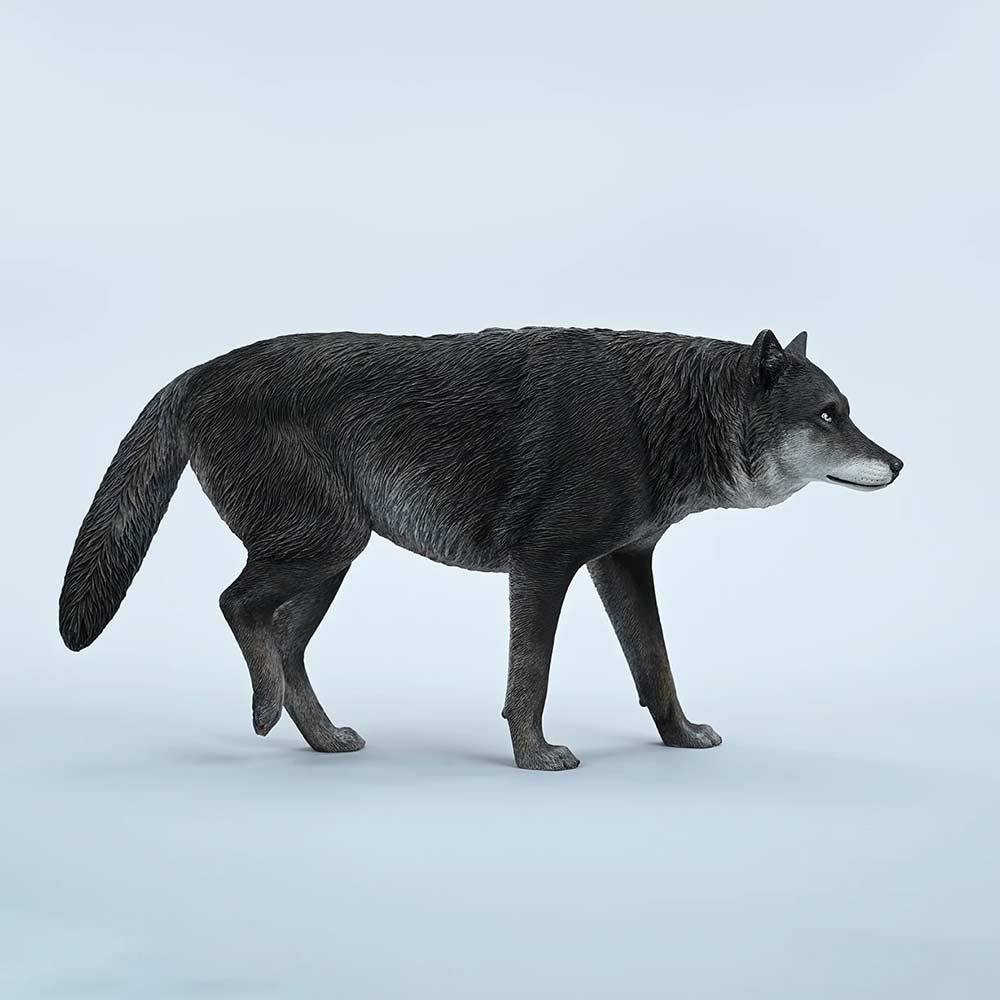 JxK 1/6 Common Gray Wolf JXK223-A4 Image_1