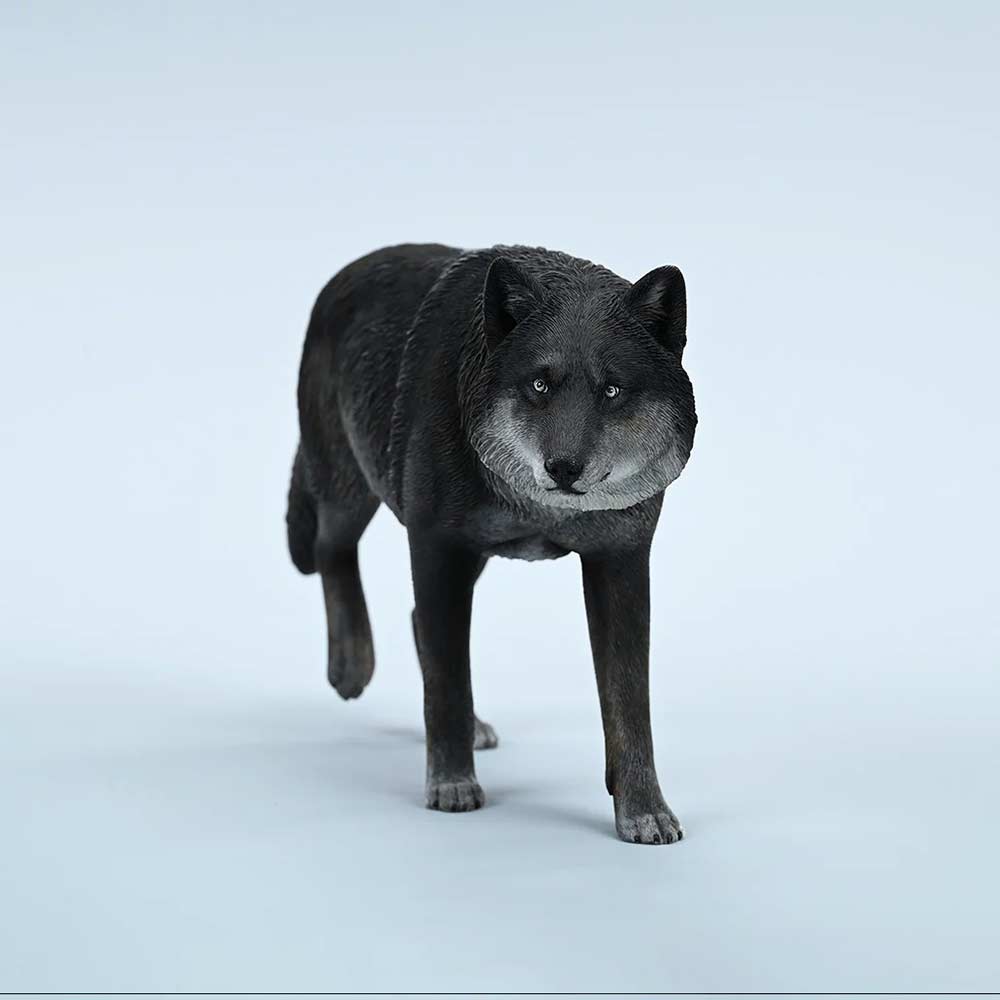 JxK 1/6 Common Gray Wolf JXK223-A4 Image_2
