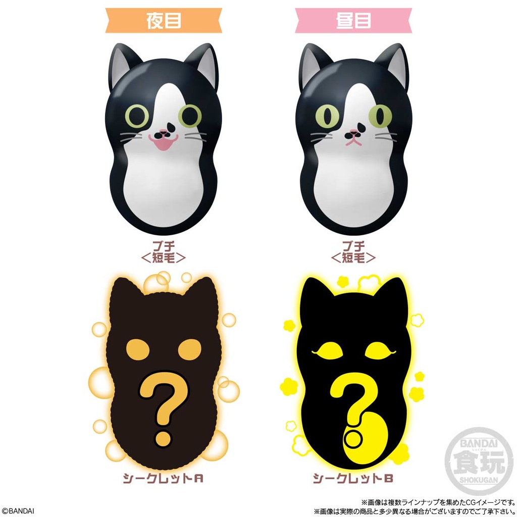 (PO) COO'NYATS 2 [BOX] Image_7
