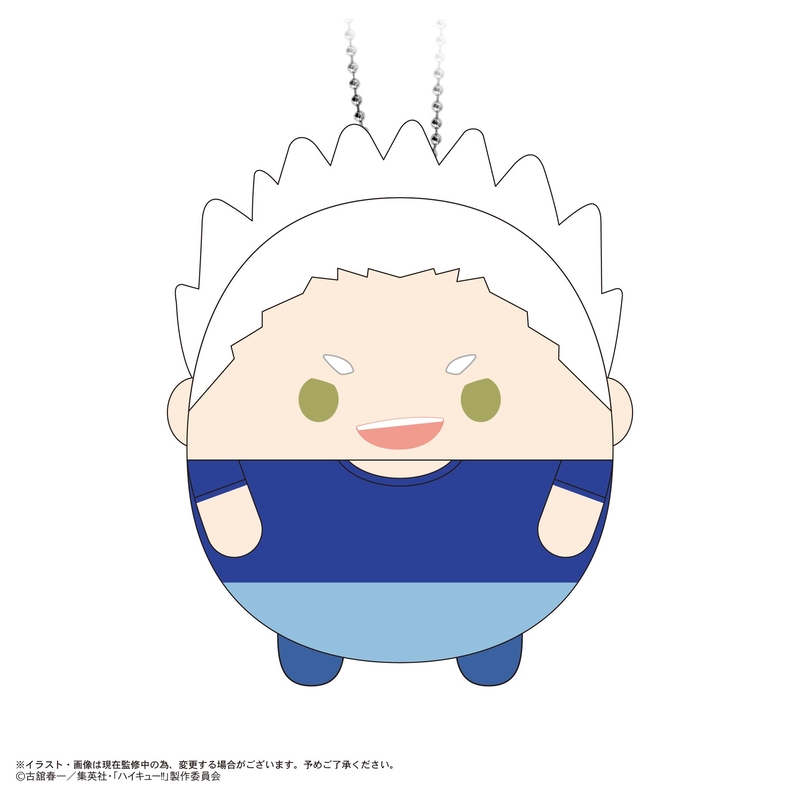 (PO) HQ-76 Haikyu!! Fuwakororin 10 [BOX] Image_4