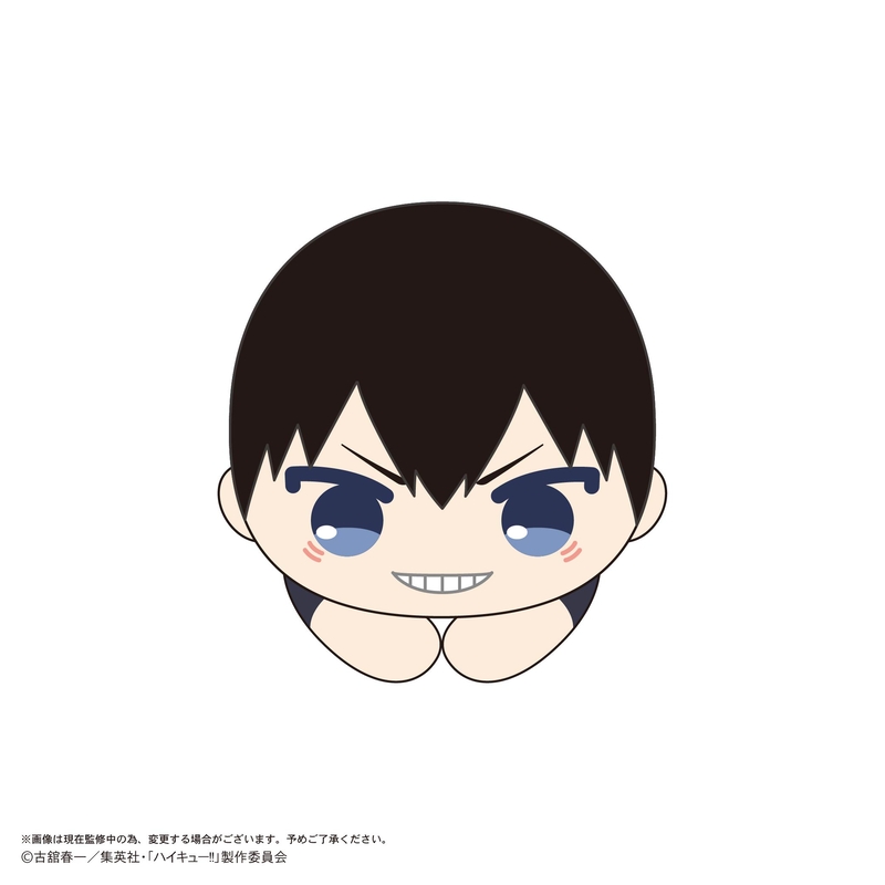 (PO) HQ-77 Haikyu!! Hug x Character Collection 10 [BOX] Image_2