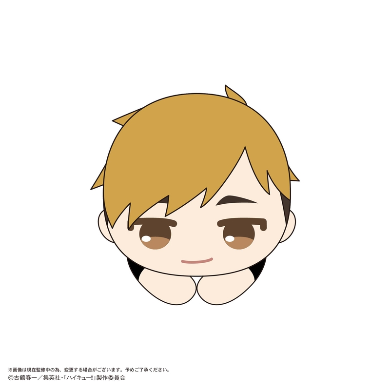 (PO) HQ-77 Haikyu!! Hug x Character Collection 10 [BOX] Image_3