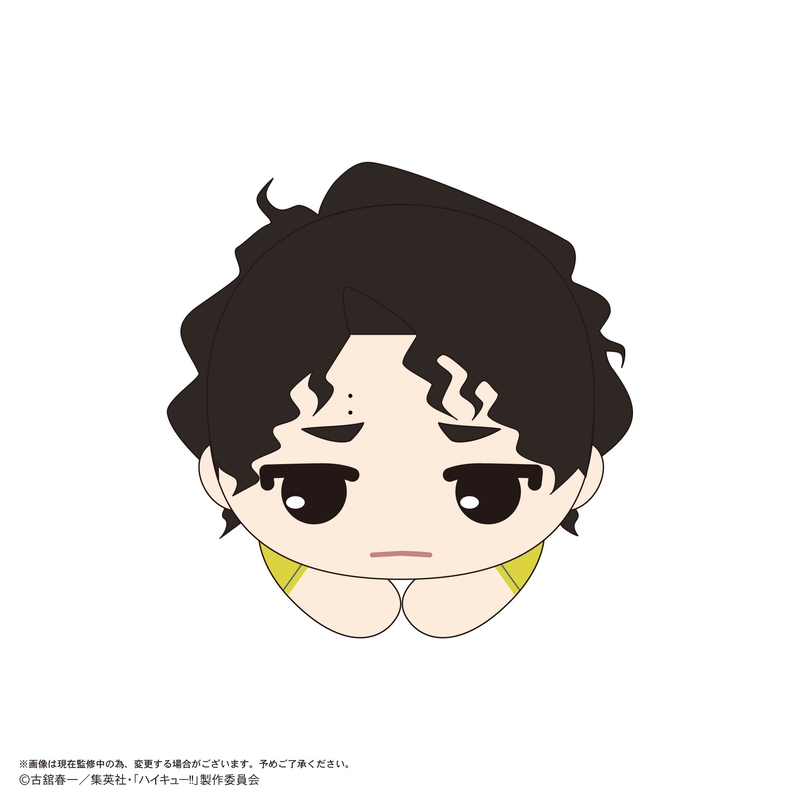 (PO) HQ-77 Haikyu!! Hug x Character Collection 10 [BOX] Image_5