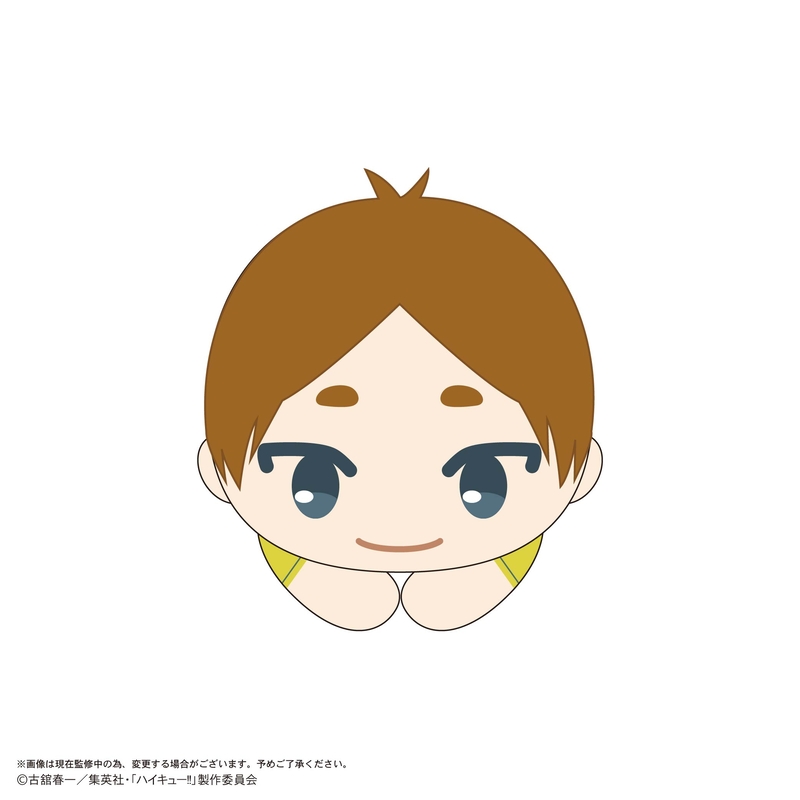 (PO) HQ-77 Haikyu!! Hug x Character Collection 10 [BOX] Image_6