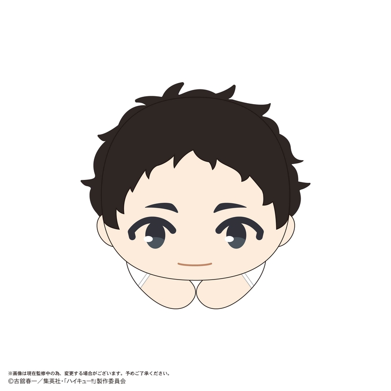 (PO) HQ-77 Haikyu!! Hug x Character Collection 10 [BOX] Image_7