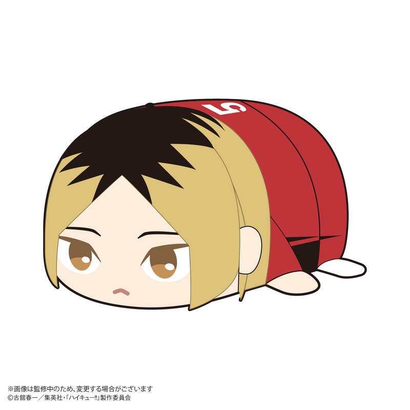 (PO) HQ-78 Haikyu!! Potekoro Mascot 2 [BOX] Image_3