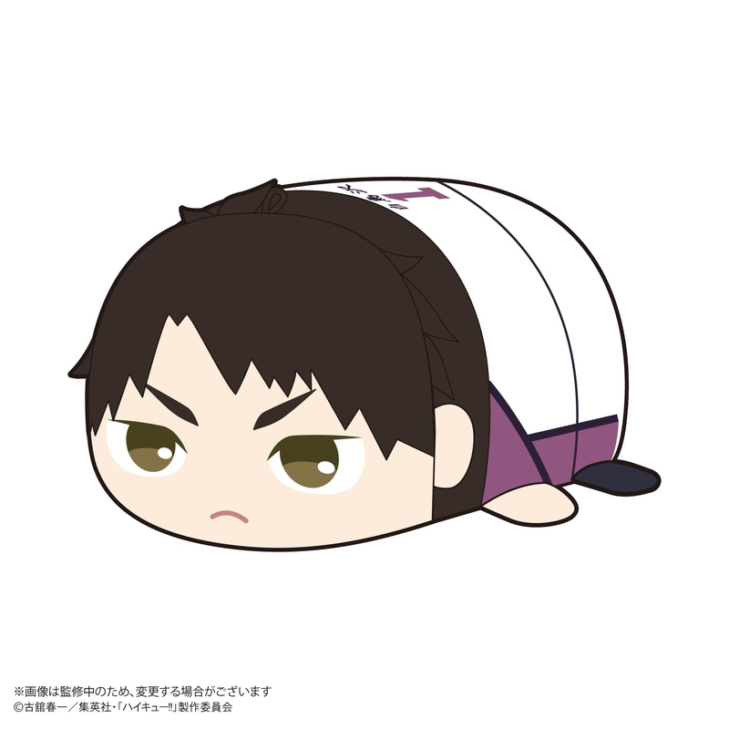 (PO) HQ-78 Haikyu!! Potekoro Mascot 2 [BOX] Image_4