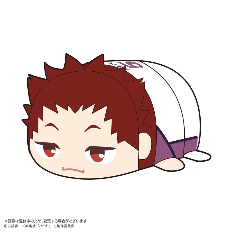 (PO) HQ-78 Haikyu!! Potekoro Mascot 2 [BOX] Image_5