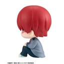 (PO) Look Up My Hero Academia - Shoto Todoroki (Re-issue) Image_6