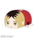 (PO) HQ-81 Haikyu!! Potekoro Mascot (M Size) 2 B Kozume Kenma Image_1
