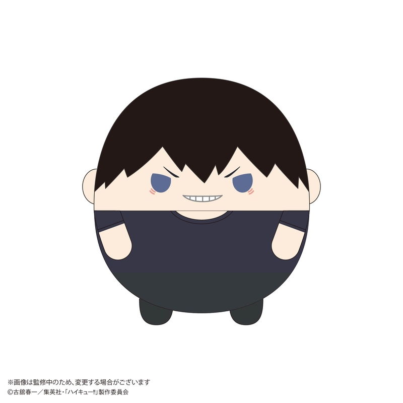 (PO) HQ-79 Haikyu!! Fuwakororin (M Size) 10 A Kageyama Tobio Image_1
