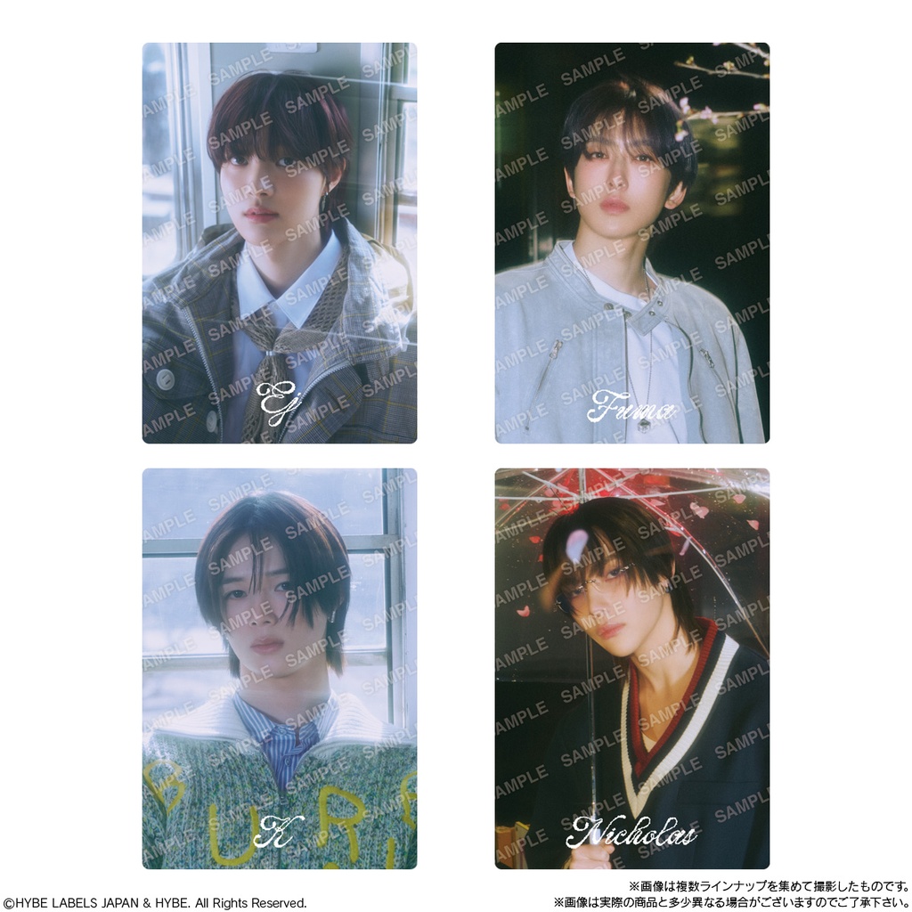 (PO) &TEAM Twin Wafer Card [BOX] Image_2