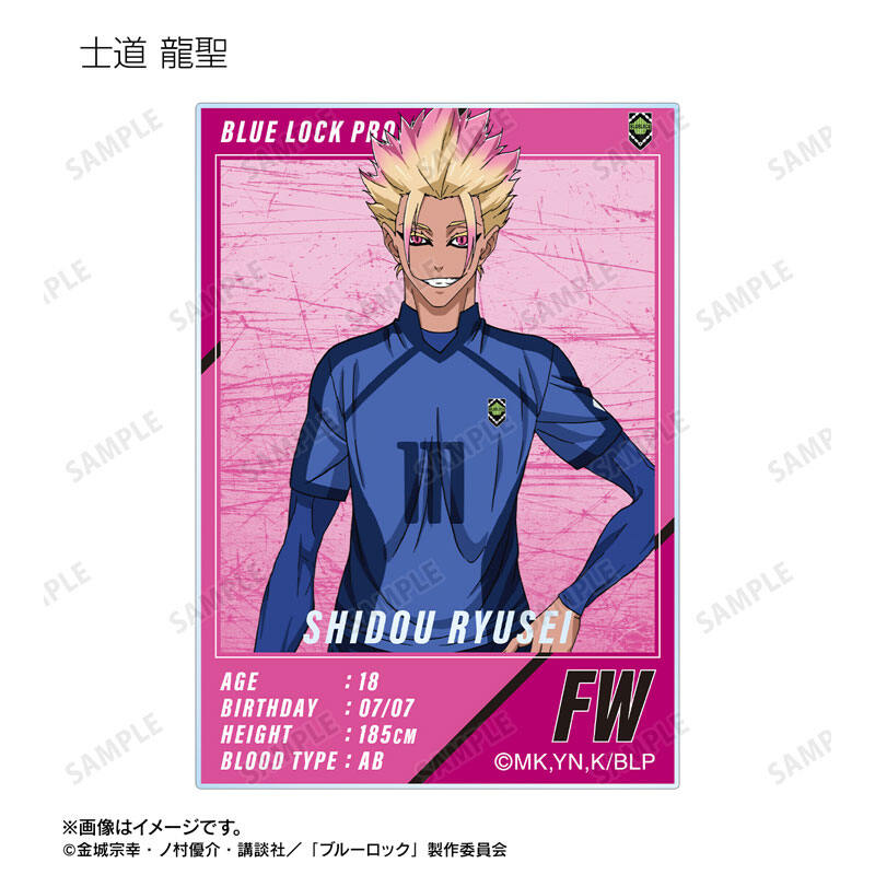 (PO) Blue Lock Trading Acrylic Card Player Card Style [BOX] Image_9